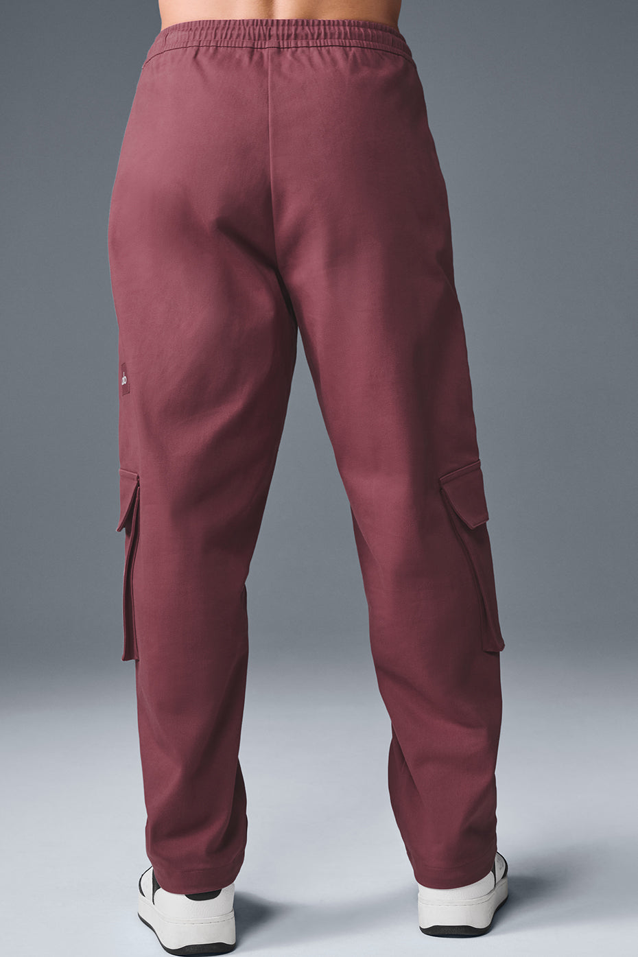 Alternative view of Northstar Cargo Pant   Burgundy Truffle